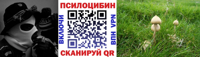 купить закладку  Воскресенск  Псилоцибиновые грибы Psilocybe 