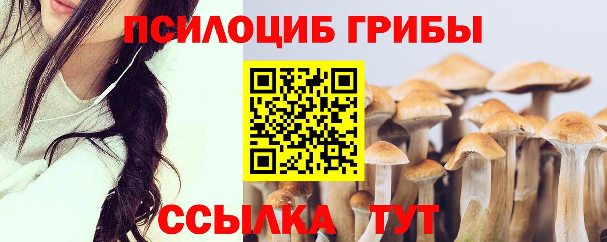 Псилоцибиновые грибы мицелий  Псилоцибиновые грибы ЛСД  Вход с VPN  Воскресенск 